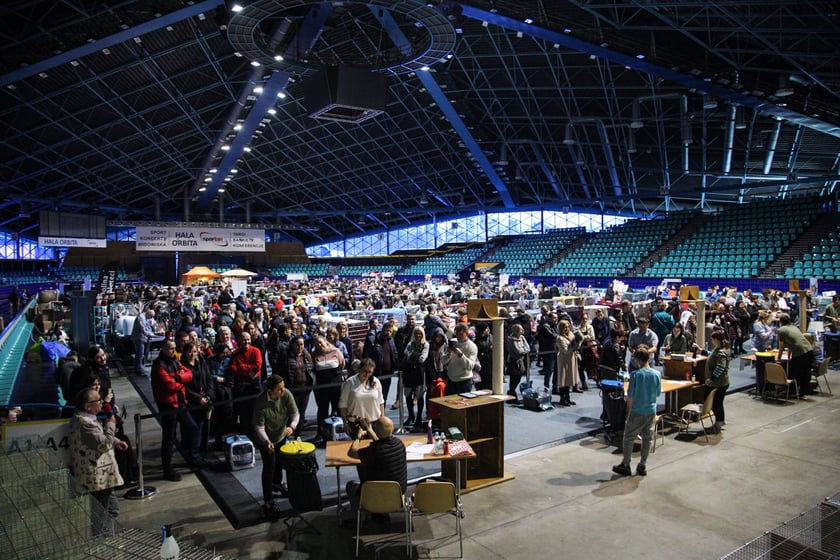Wystawa Kotów Rasowych w Hali Orbita we Wrocławiu, 11.03.2023