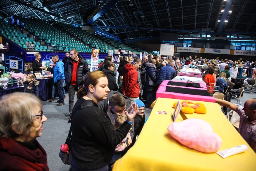 Wystawa Kotów Rasowych w Hali Orbita we Wrocławiu, 11.03.2023