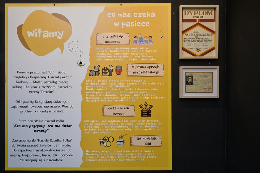 Pasieka Dziadka Tolka we Wrocławiu