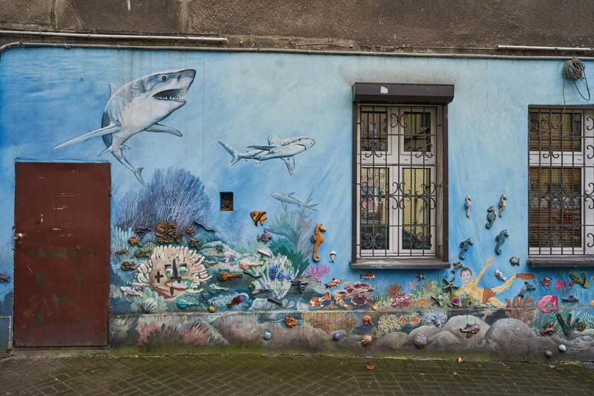 Kolorowe Podrówka na Nadodrzu