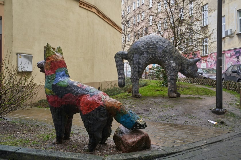 Kolorowe Podrówka na Nadodrzu