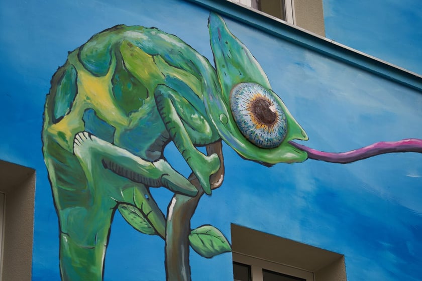 Kolorowe Podrówka na Nadodrzu