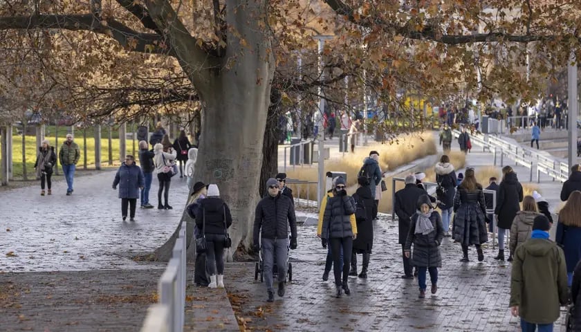 Dodatkowe dwa dni wolnego z powodu "siły wyższej" w 2023 r.
Dodatkowe wolne będzie przysługiwało m.in. z powodu &bdquo;siły wyższej&rdquo;, będą to dwa dodatkowe dni wolne lub 16 godzin w ciągu roku kalendarzowego.
W tym wypadku dodatkowe wolne obejmuje takie zdarzenia jak wypadek czy choroba.