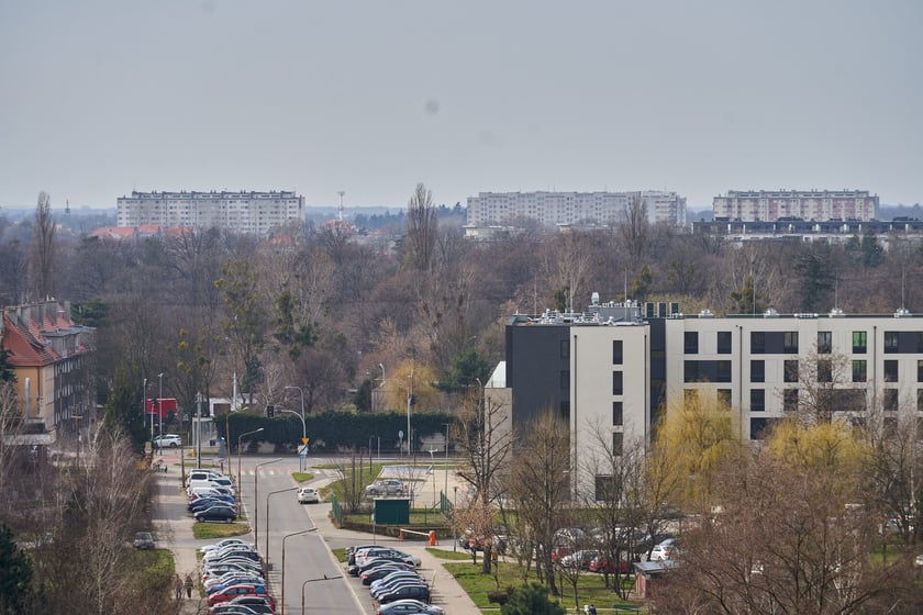 Panorama Gaju we Wrocławiu