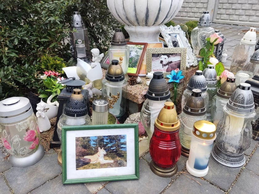 Cmentarz dla zwierząt Tęczowy Most pod Wrocławiem
