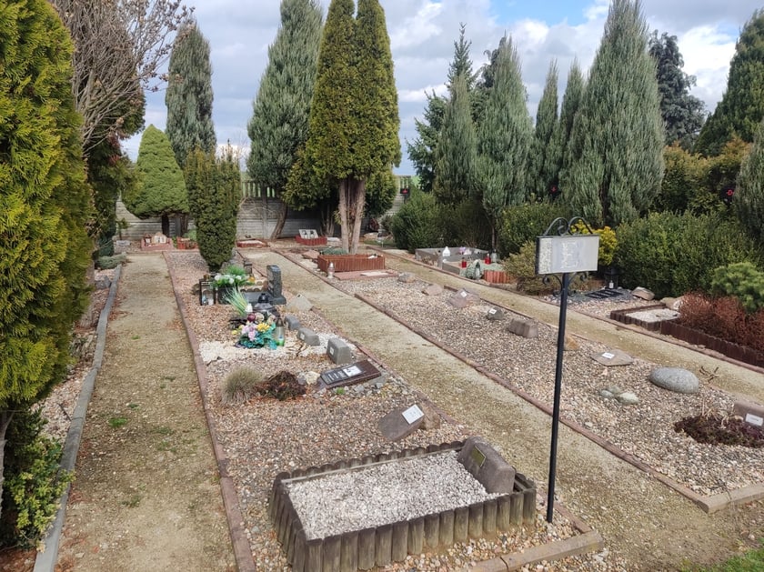 Cmentarz dla zwierząt Tęczowy Most pod Wrocławiem
