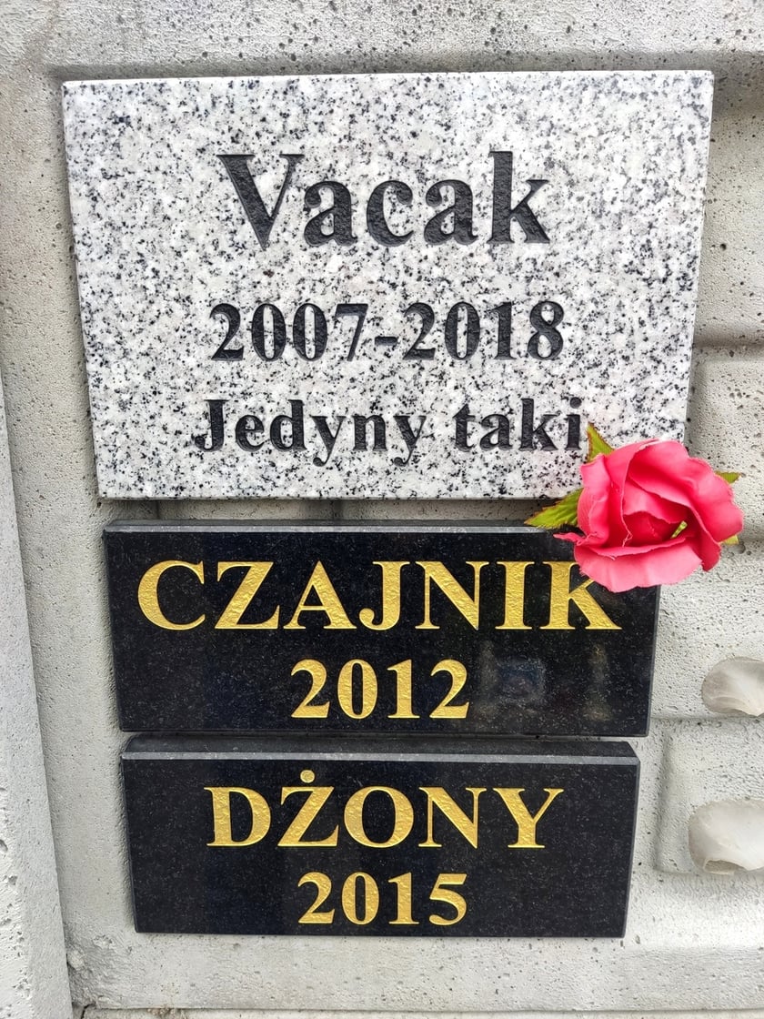 Cmentarz dla zwierząt Tęczowy Most pod Wrocławiem