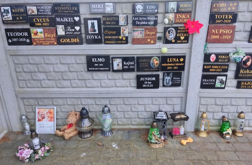 Cmentarz dla zwierząt Tęczowy Most pod Wrocławiem