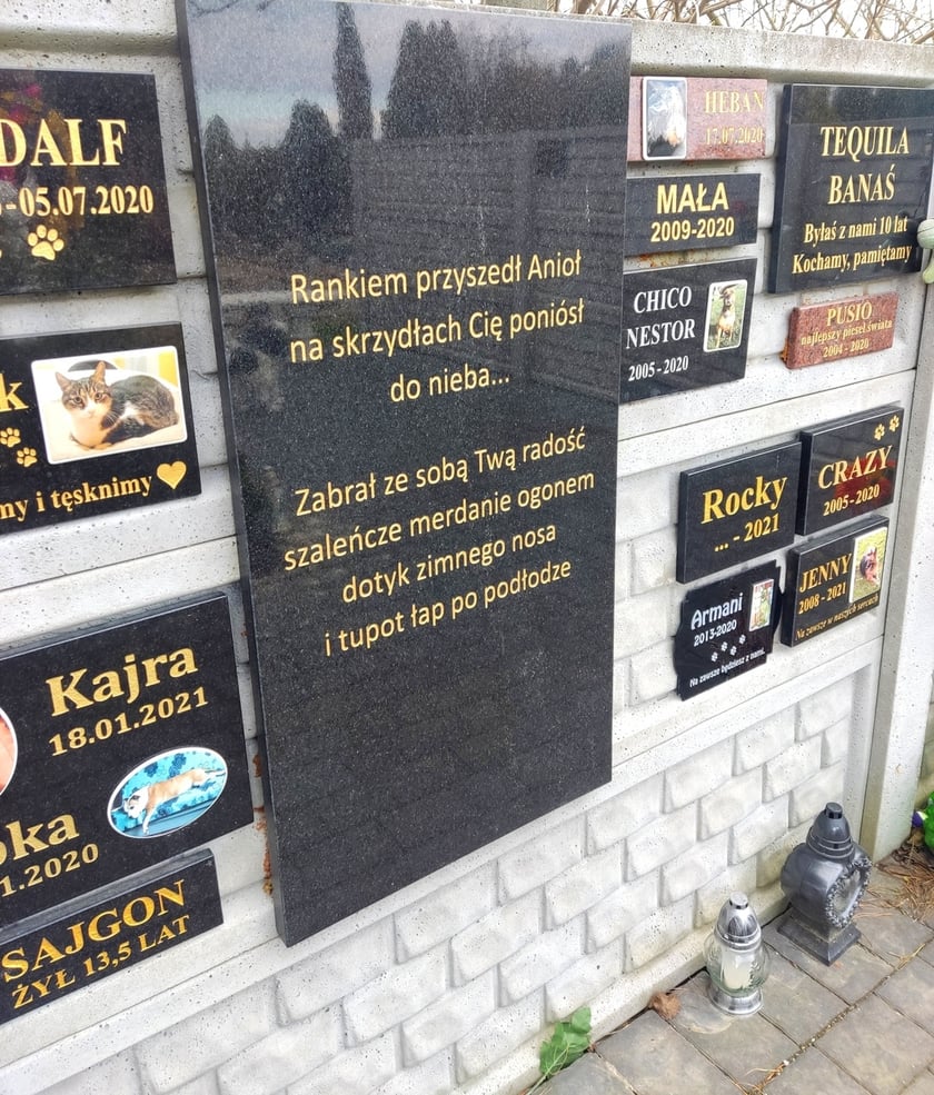 Cmentarz dla zwierząt Tęczowy Most pod Wrocławiem