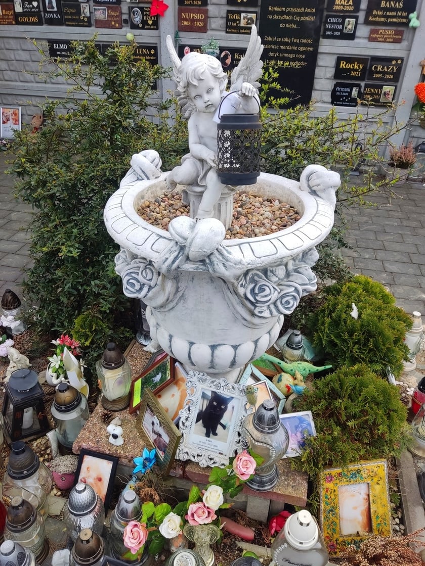 Cmentarz dla zwierząt Tęczowy Most pod Wrocławiem