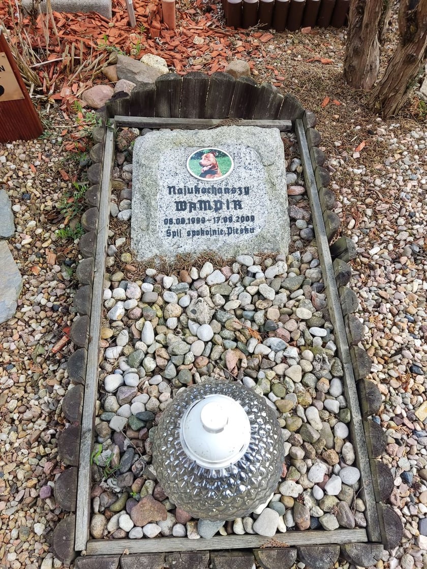 Cmentarz dla zwierząt Tęczowy Most pod Wrocławiem