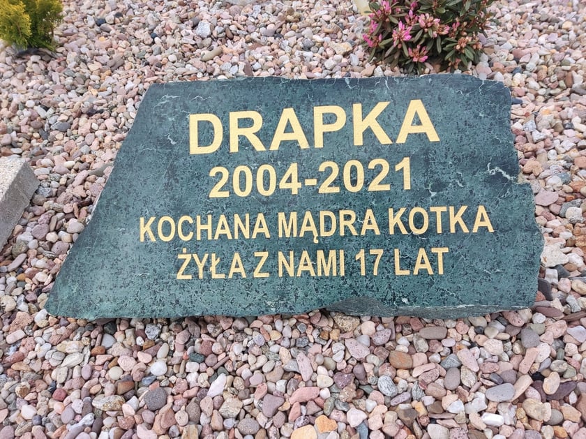 Cmentarz dla zwierząt Tęczowy Most pod Wrocławiem
