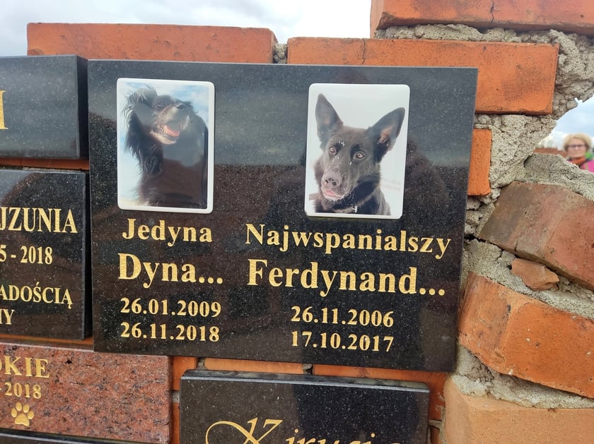 Cmentarz dla zwierząt Tęczowy Most pod Wrocławiem