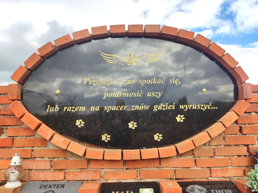 Cmentarz dla zwierząt Tęczowy Most pod Wrocławiem