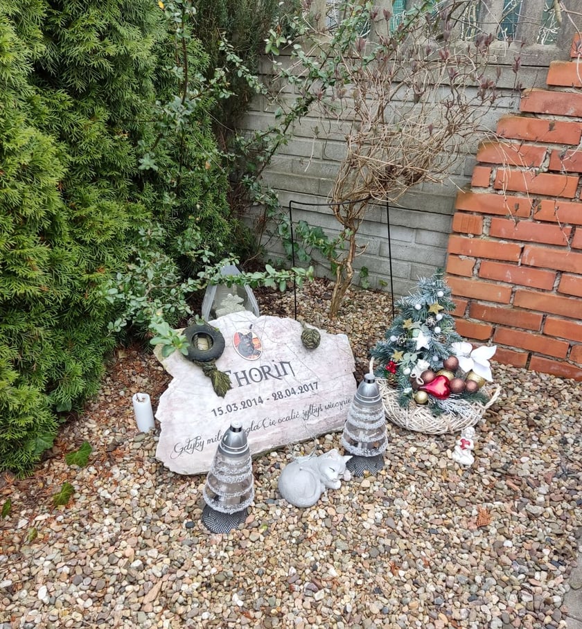 Cmentarz dla zwierząt Tęczowy Most pod Wrocławiem