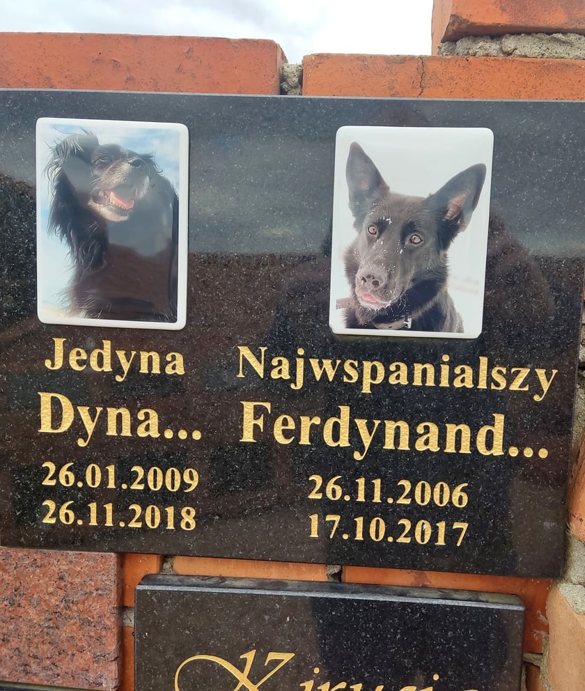 Cmentarz dla zwierząt Tęczowy Most pod Wrocławiem