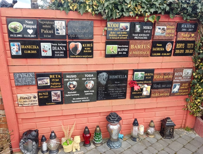Cmentarz dla zwierząt Tęczowy Most pod Wrocławiem