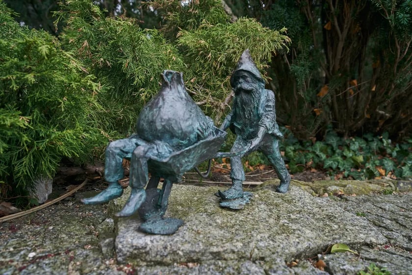 Ogród Botaniczny we Wrocławiu