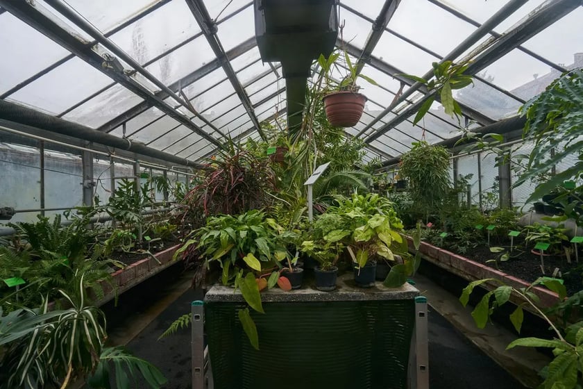 Ogród Botaniczny we Wrocławiu