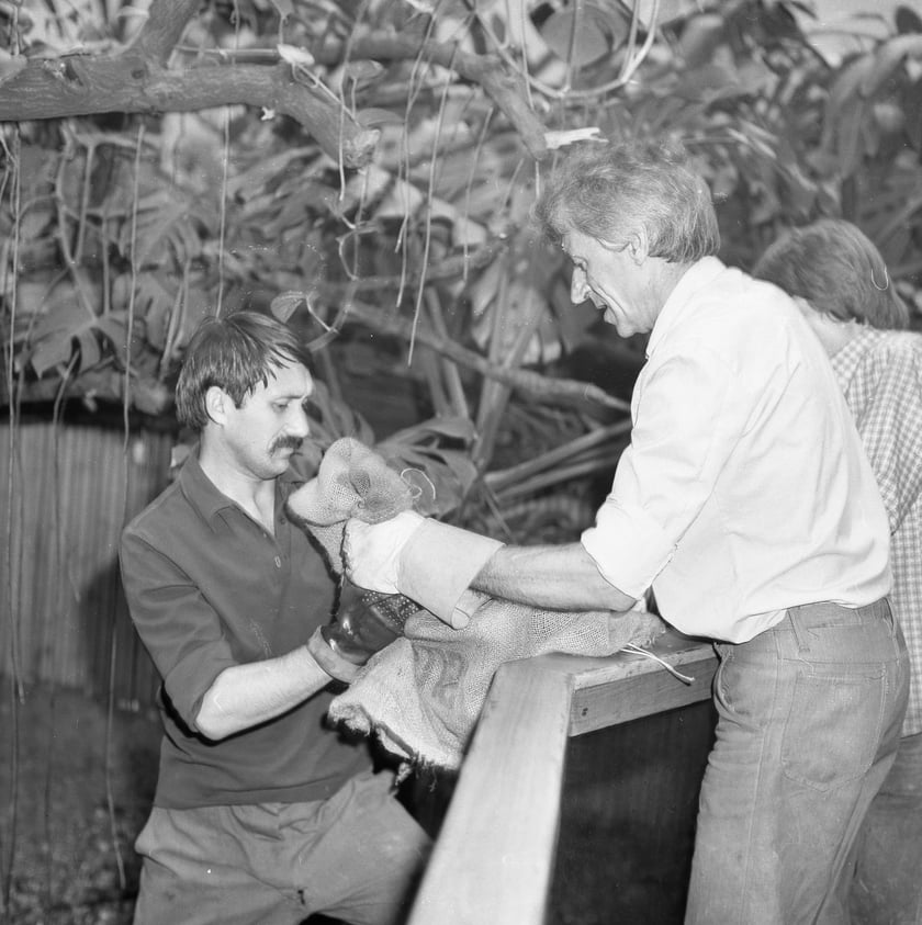 Ryszard Bielawski w zoo (z prawej)/zdjęcie archiwalne