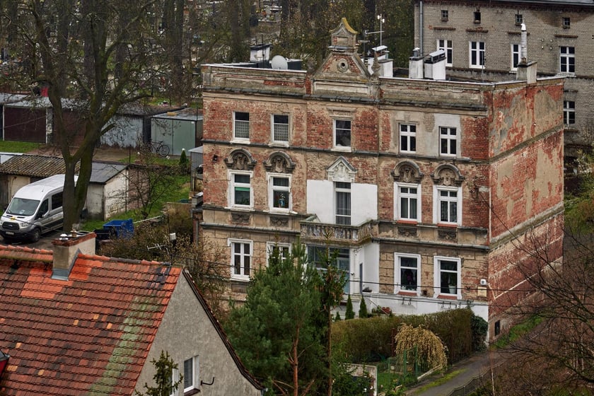 Psie Pole z lotu ptaka