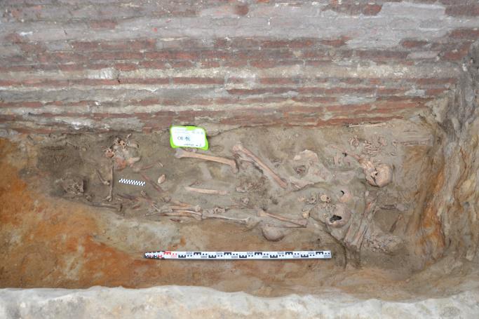 Znalezione we Wrocławiu złote monety trafią do Muzeum Archeologicznego