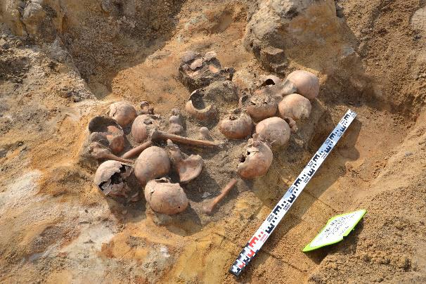Znalezione we Wrocławiu złote monety trafią do Muzeum Archeologicznego
