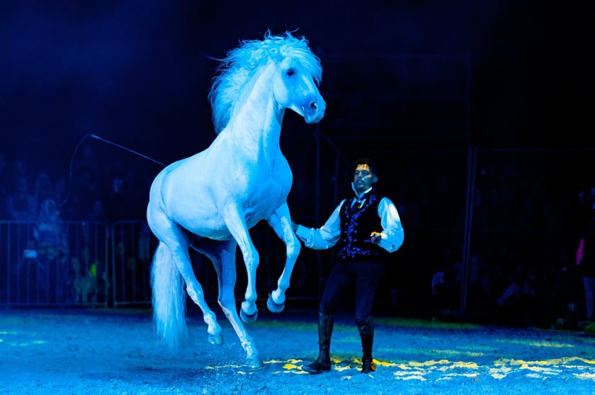 Zdjęcia Wiktora Rzeżuchowskiego, fotografa i  instruktora jazdy konnej