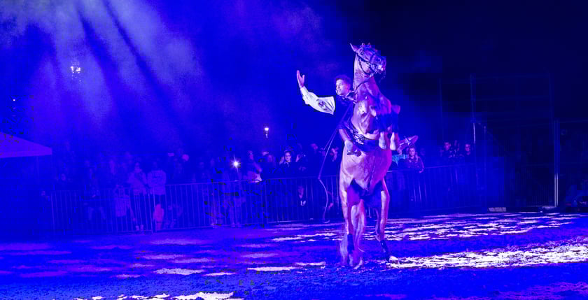 Zdjęcia Wiktora Rzeżuchowskiego, fotografa i  instruktora jazdy konnej