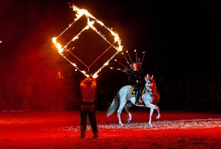 Zdjęcia Wiktora Rzeżuchowskiego, fotografa i  instruktora jazdy konnej