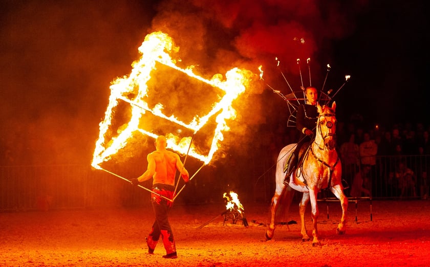 Zdjęcia Wiktora Rzeżuchowskiego, fotografa i  instruktora jazdy konnej