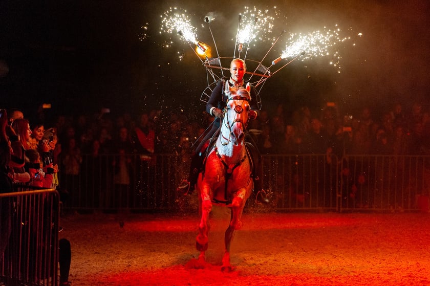 Zdjęcia Wiktora Rzeżuchowskiego, fotografa i  instruktora jazdy konnej