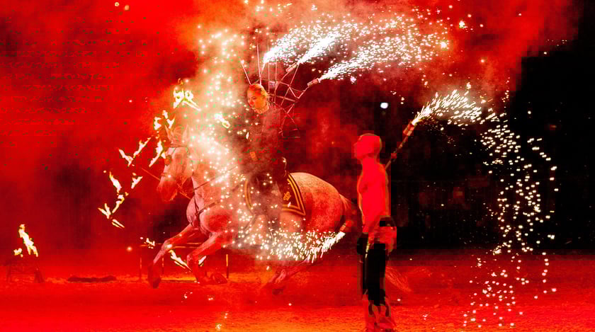 Zdjęcia Wiktora Rzeżuchowskiego, fotografa i  instruktora jazdy konnej