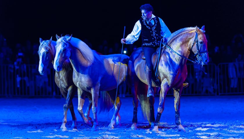 Zdjęcia Wiktora Rzeżuchowskiego, fotografa i  instruktora jazdy konnej
