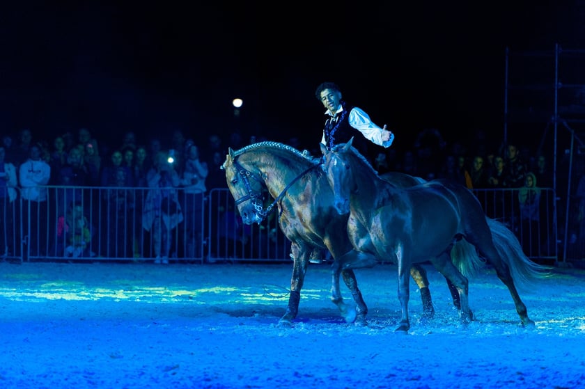 Zdjęcia Wiktora Rzeżuchowskiego, fotografa i  instruktora jazdy konnej