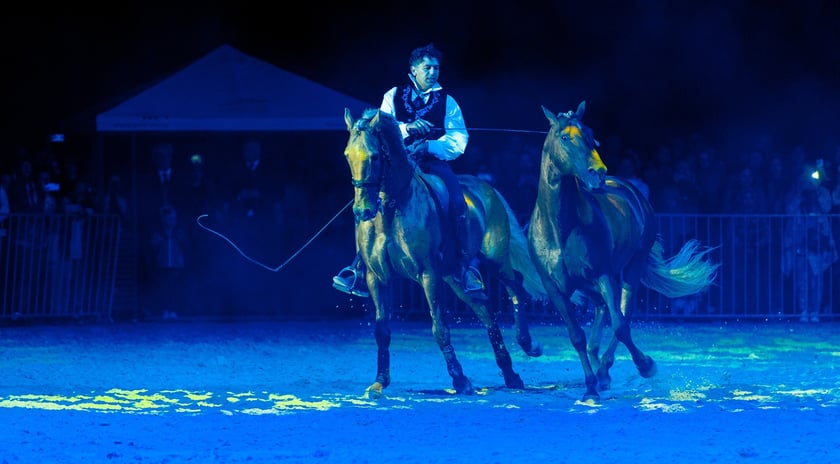 Zdjęcia Wiktora Rzeżuchowskiego, fotografa i  instruktora jazdy konnej
