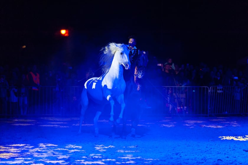 Zdjęcia Wiktora Rzeżuchowskiego, fotografa i  instruktora jazdy konnej