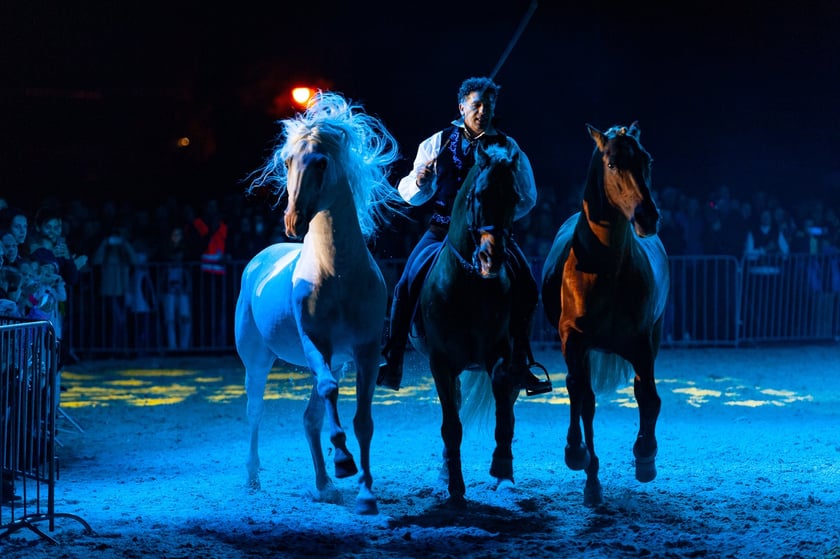 Zdjęcia Wiktora Rzeżuchowskiego, fotografa i  instruktora jazdy konnej