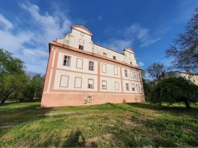 Powierzchnia pałacu wynosi 1662,5 m.kw. Budynek ma piwnicę, parter, I piętro i strych. Do pałacu przynależy grunt wielkości 80 ar&oacute;w.Dw&oacute;r w Snowidzy wybudowany został w drugiej połowie XVII wieku.&nbsp;