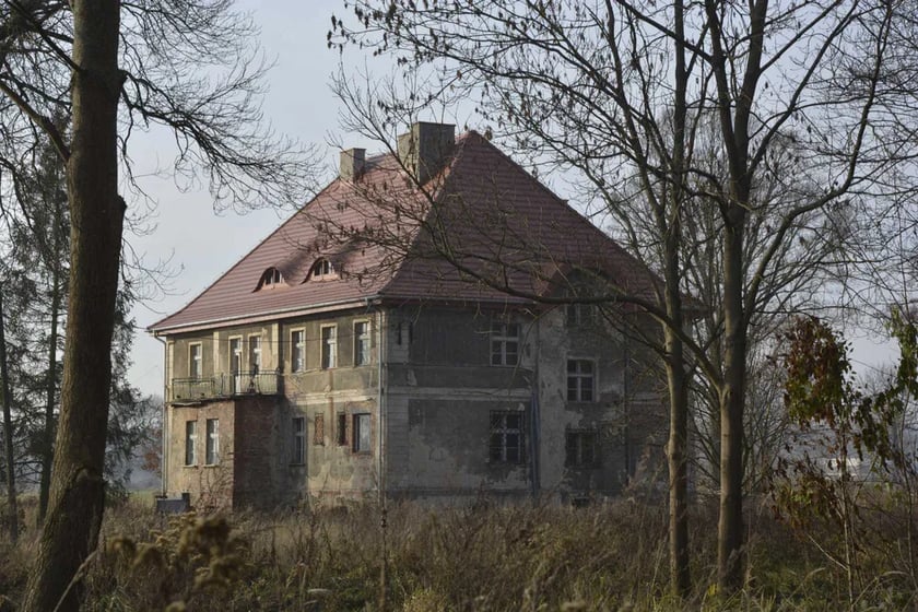 Pałac położony jest we wsi&nbsp;Drołtowice na terenie powiatu Oleśnickiego, około 50 km od Wrocławia. Zabudowa znajduje się na działce o powierzchni&nbsp;3,3972 ha. Znajdują się tam grunty rolne, pastwiska oraz lasy i łąki.&nbsp;
&nbsp;
Nieruchomość wpisana do rejestru zabytk&oacute;w wojew&oacute;dztwa kaliskiego pod numerem rejestru 643/A - zesp&oacute;ł pałacowy: dawna oficyna, spichlerz, stajnia, obora &ndash; położone w Drołtowicach. W gł&oacute;wnym budynku położony jest nowy dach. W pobliżu znajduje się też zbiornik wodny.&nbsp;Pałac rodu von Korn w Drołtowicach, zlokalizowany na dz. nr 376/3 AM-2, nie istnieje &ndash; spłonął w 1945 r. i został rozebrany w latach 50. XX w.; prawdopodobnie zachowały się fundamenty &ndash; obecnie niewidoczne w terenie. Na dz. nr 381/6 AM-2 posadowiony jest budynek oficyny (pałac tzw. Neues Haus), wzniesiony około 1910 r. o powierzchni zabudowy około 300,25 m2 i powierzchni użytkowej około 458,58 m2. Z dawnego kompleksu pałacowo-folwarcznego zachował się budynek gospodarczy na dz. nr 376/3 AM-2, bramy wjazdowe z częścią ogrodzenia i ciąg budynk&oacute;w gospodarczych na dz. nr 432 AM-2 (nie będących przedmiotem sprzedaży). Działki nr 376/3, 381/3, 381/6 AM-2 znajdują się w granicach parku krajobrazowego wpisanego do rejestru zabytk&oacute;w.