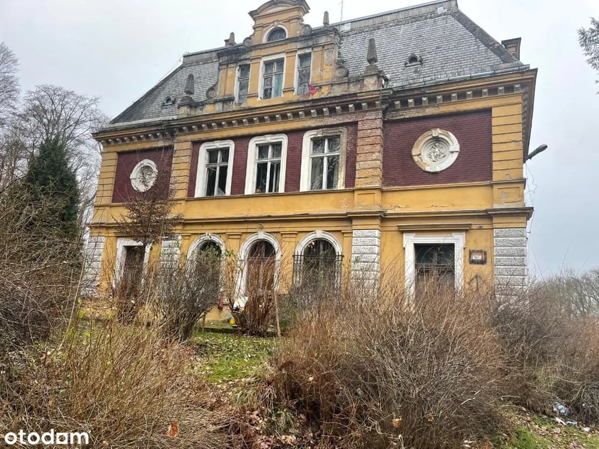 Zesp&oacute;ł pałacowo-parkowy w miejscowości Olszyna o powierzchni około 1000m2 położony w centralnej części parku ze starodrzewiem z wieloma okazami drzew.&nbsp;