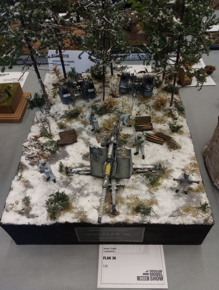 9. Wrocław Model Show w I LO we Wrocławiu