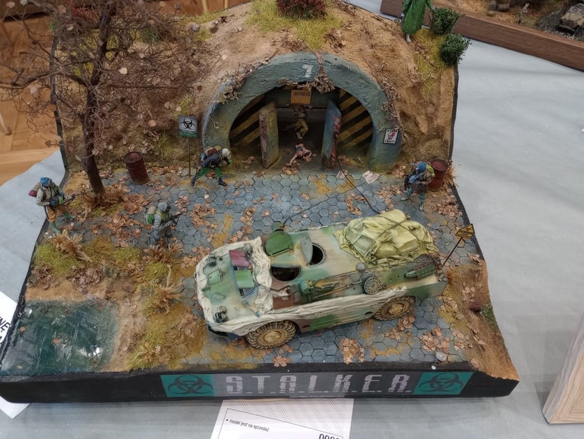 9. Wrocław Model Show w I LO we Wrocławiu