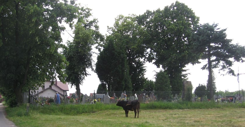 Liczba zameldowanych mieszkańc&oacute;w: 1 764

na pobyt stały: 1 729
na pobyt czasowy: 35

&nbsp;