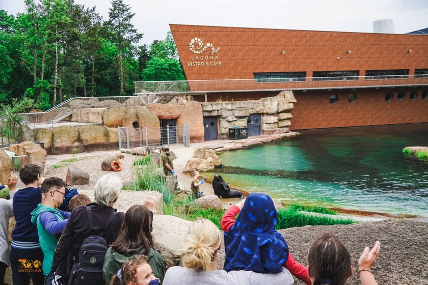 Wrocławski ogród zoologiczny.