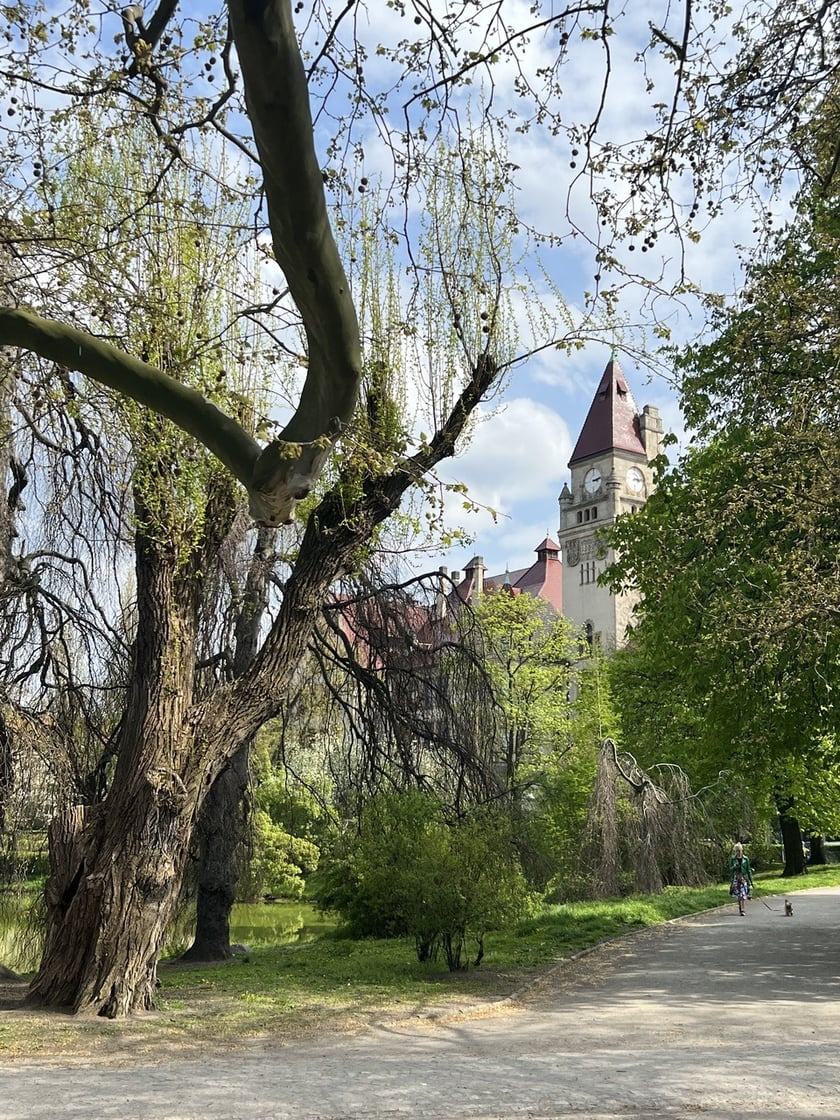 Park Tołłpy z widokiem na budynek Wydziału Architektury Politechniki Wrocławskiej