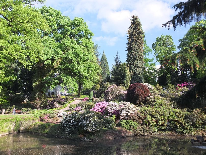 W kwietniu na naszym portalu Mariola Szczyrba napisała tak:&bdquo;Arboretum w Wojsławicach koło Niemczy otworzyło swoje podwoje po jesienno-zimowej przerwie. Zjawiskowe miejsce, bez wątpienia jedno z najpiękniejszych tego typu na Dolnym Śląsku, jeśli nie w Polsce. To idealny pomysł na weekendowy wypad za miasto. Wojsławice położone są 50 km na południe od Wrocławia i 2 km na wsch&oacute;d od Niemczy, na obszarze chronionego krajobrazu Wzg&oacute;rz Niemczańsko-Strzelińskich.&rdquo; Cały tekst &ndash; tutaj.
Około 60 kilometr&oacute;w z centrum Wrocławia.