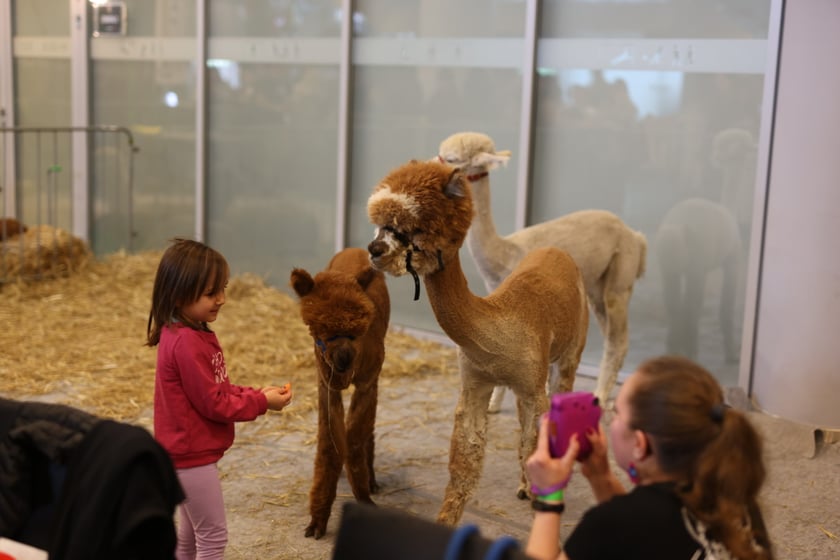 Dolnośląskie Targi Zoologiczne na Tarczyński Arena