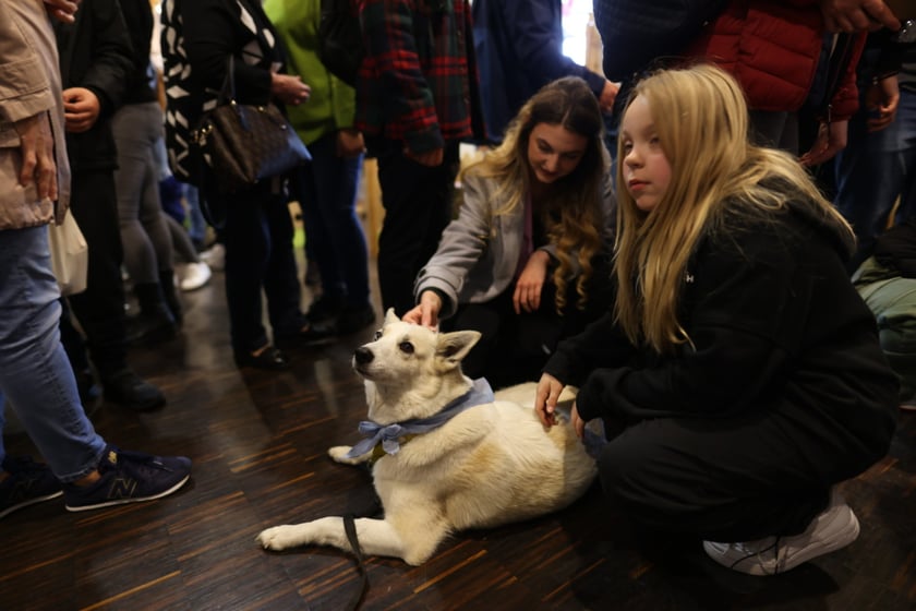 Dolnośląskie Targi Zoologiczne na Tarczyński Arena