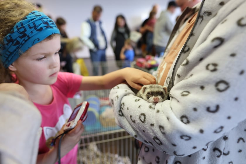 Dolnośląskie Targi Zoologiczne na Tarczyński Arena